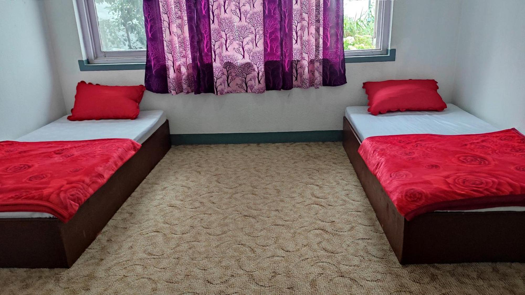 Budget Backpackers Hotel Lalitpur Zewnętrze zdjęcie