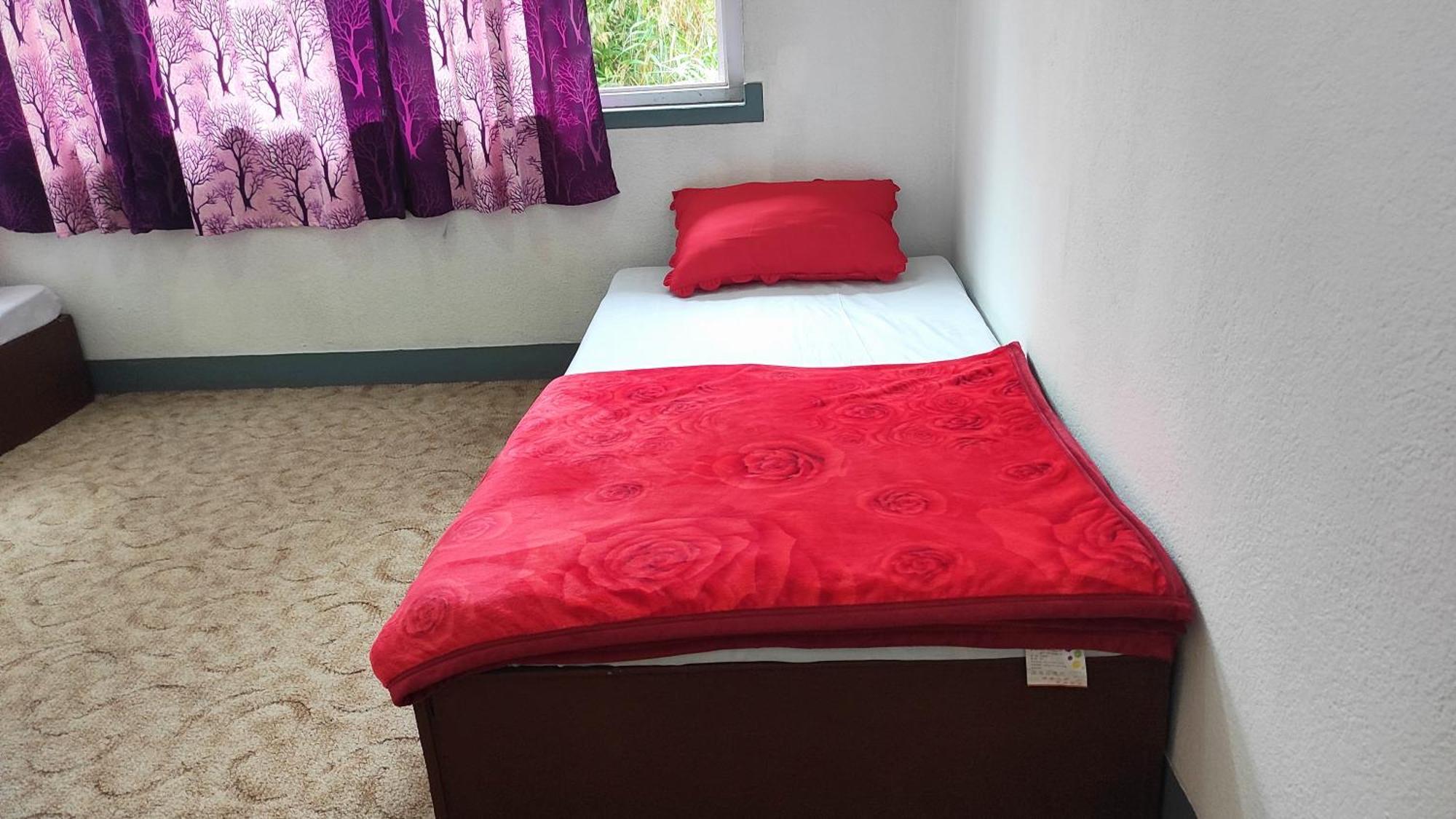 Budget Backpackers Hotel Lalitpur Zewnętrze zdjęcie